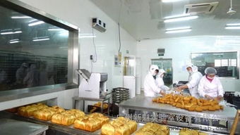 佛山食品車間裝修指南 烘焙食品廠與飲料廠凈化車間的高標準設計解析